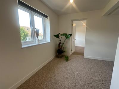 Picture 24